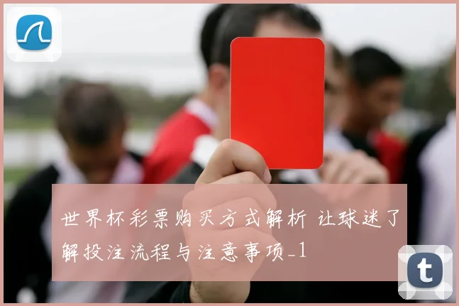 世界杯彩票购买方式解析 让球迷了解投注流程与注意事项_1