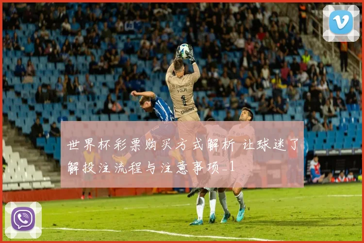 世界杯彩票购买方式解析 让球迷了解投注流程与注意事项_1